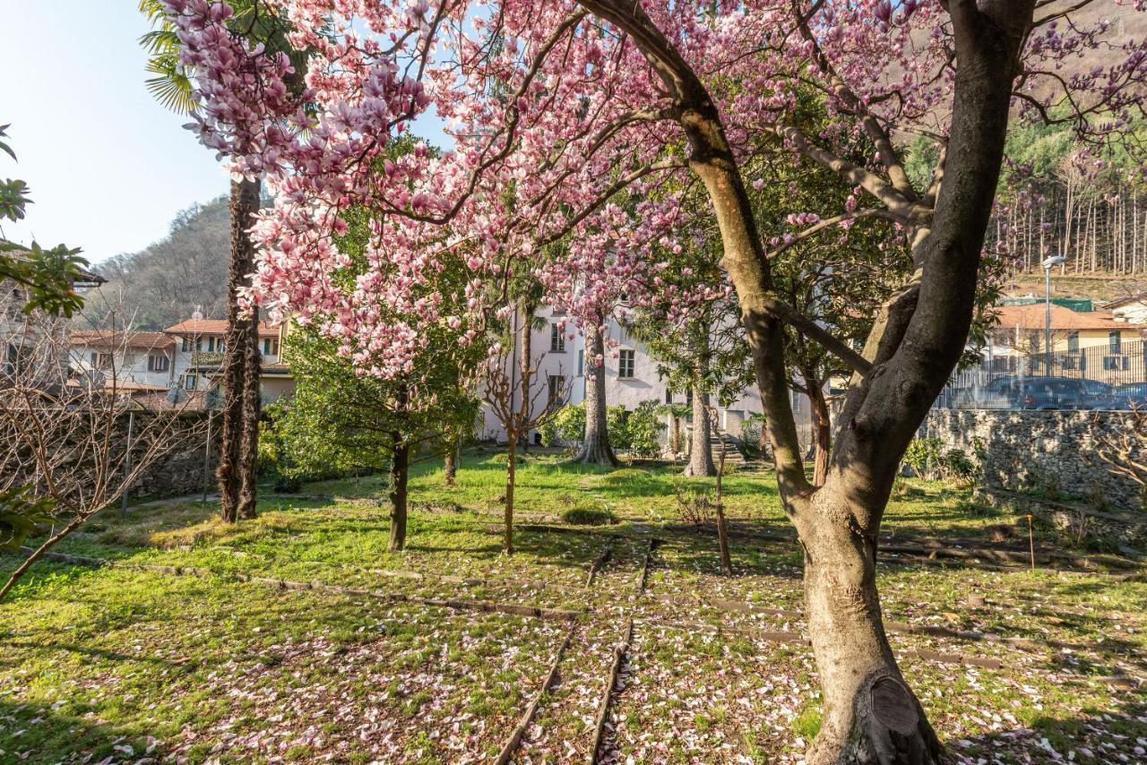 B&B Villa Rosalinda Dongo Εξωτερικό φωτογραφία